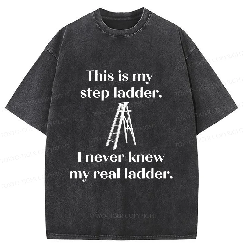 Tokyo-Tiger A Real Ladder Funny Washed T-Shirt