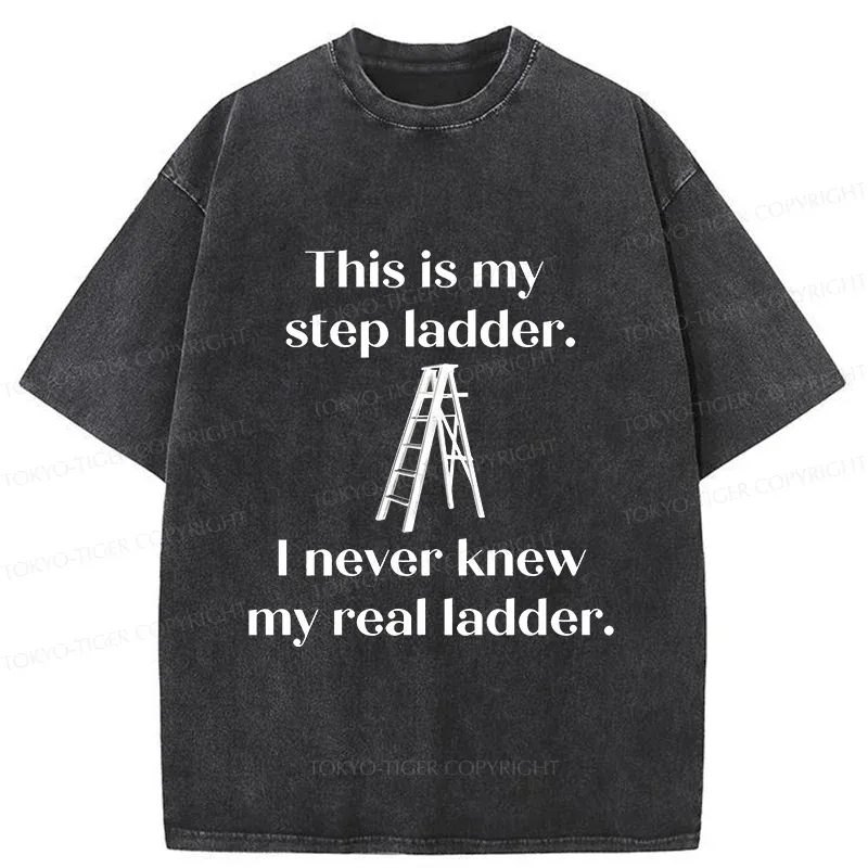 Tokyo-Tiger A Real Ladder Funny Washed T-Shirt