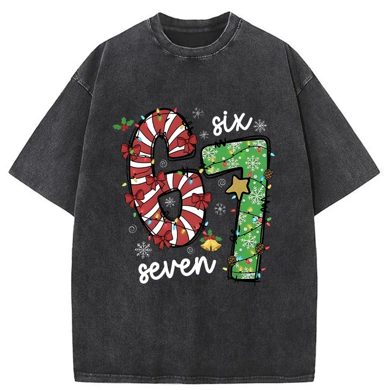 Tokyo-Tiger Six And Seven Funny Washed T-Shirt