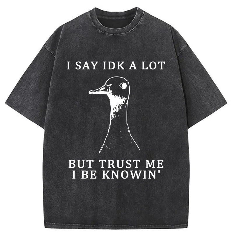 Tokyo-Tiger Silly Goose Understands Everything Washed T-Shirt