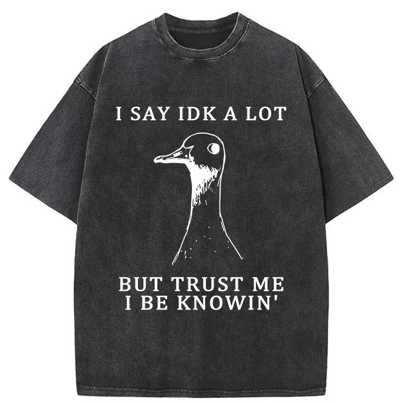 Tokyo-Tiger Silly Goose Understands Everything Washed T-Shirt