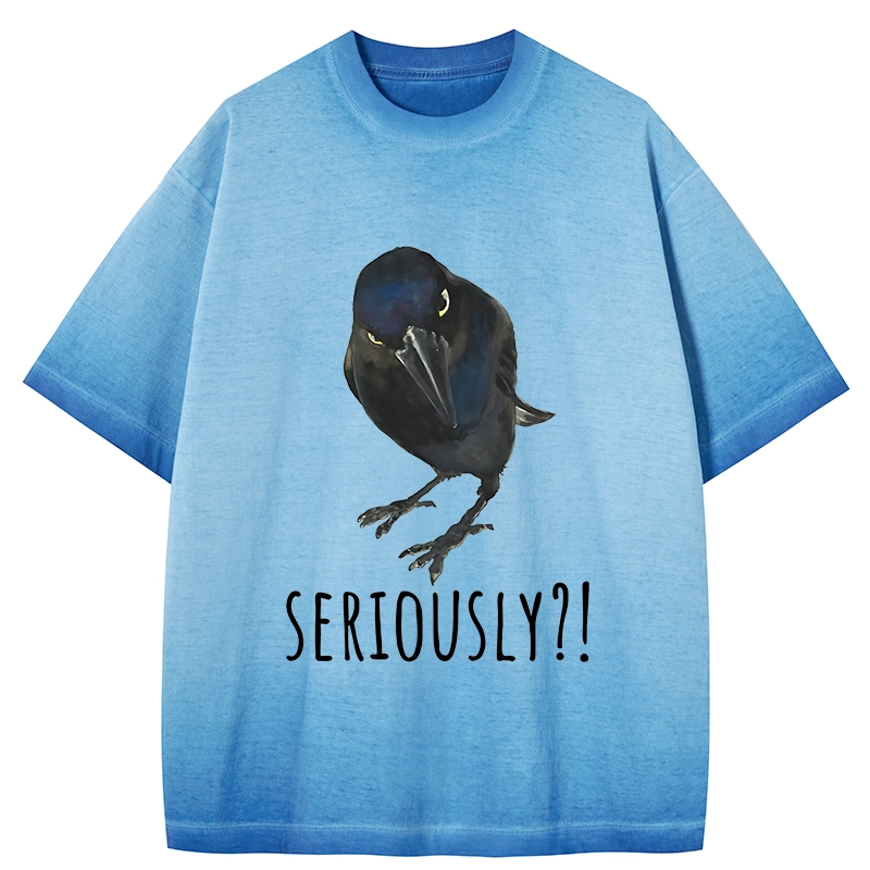 Tokyo-Tiger Raven's Question Gradient Washed T-Shirt