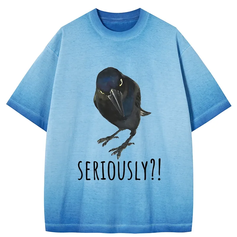 Tokyo-Tiger Raven's Question Gradient Washed T-Shirt