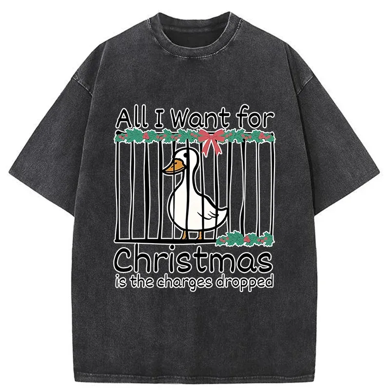 Tokyo-Tiger Christmas Stupid Goose Washed T-Shirt