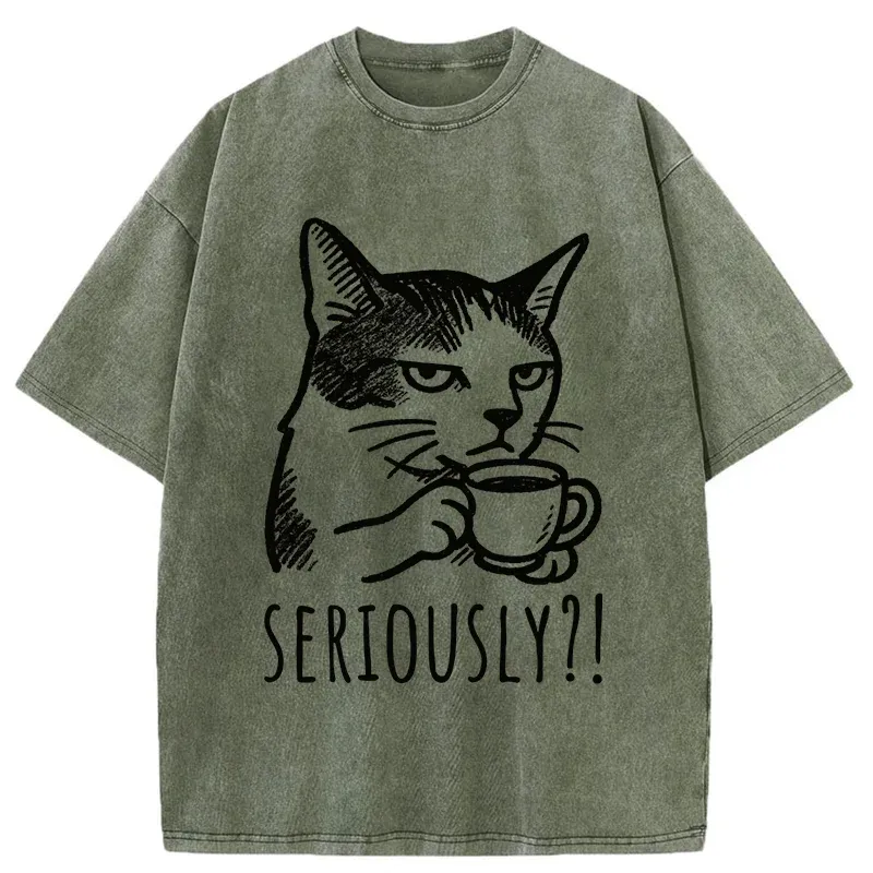 Tokyo-Tiger Cat's Suspicion Washed T-Shirt