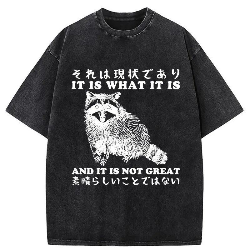 Tokyo-Tiger That Is The Current Situation Washed T-Shirt