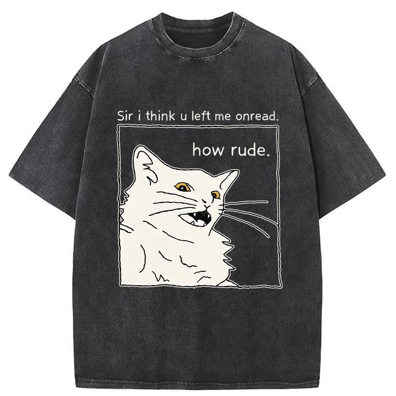 Tokyo-Tiger Cat That Condemn Humans Washed T-Shirt