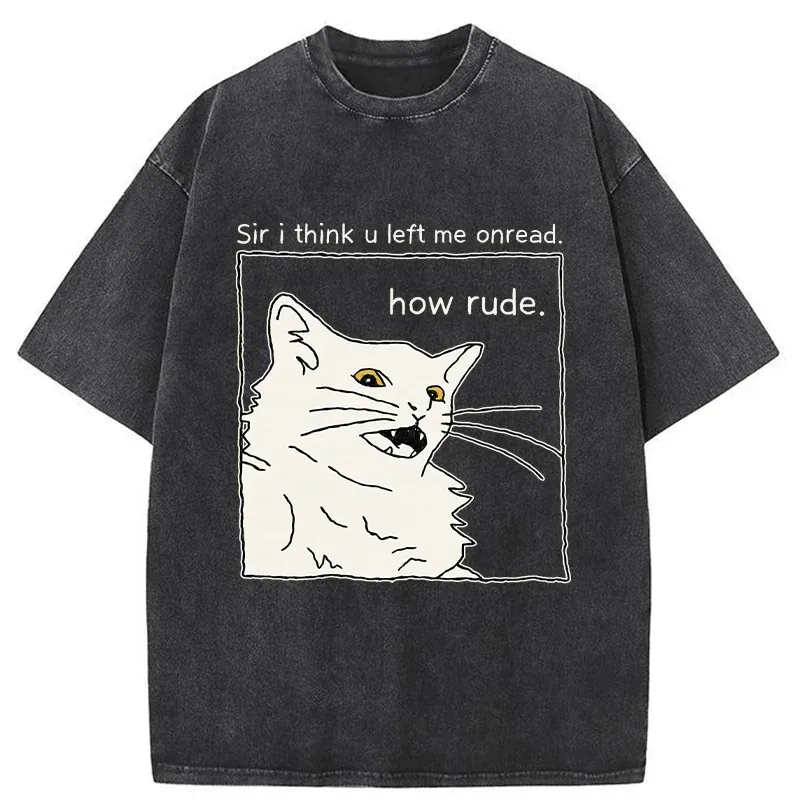 Tokyo-Tiger Cat That Condemn Humans Washed T-Shirt