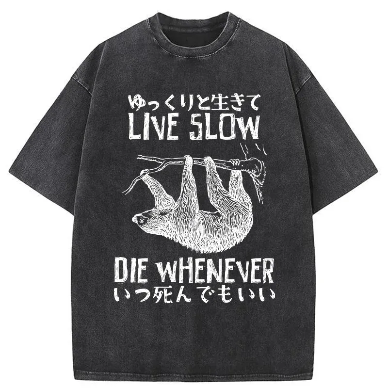 Tokyo-Tiger Slow-living Sloth Washed T-Shirt