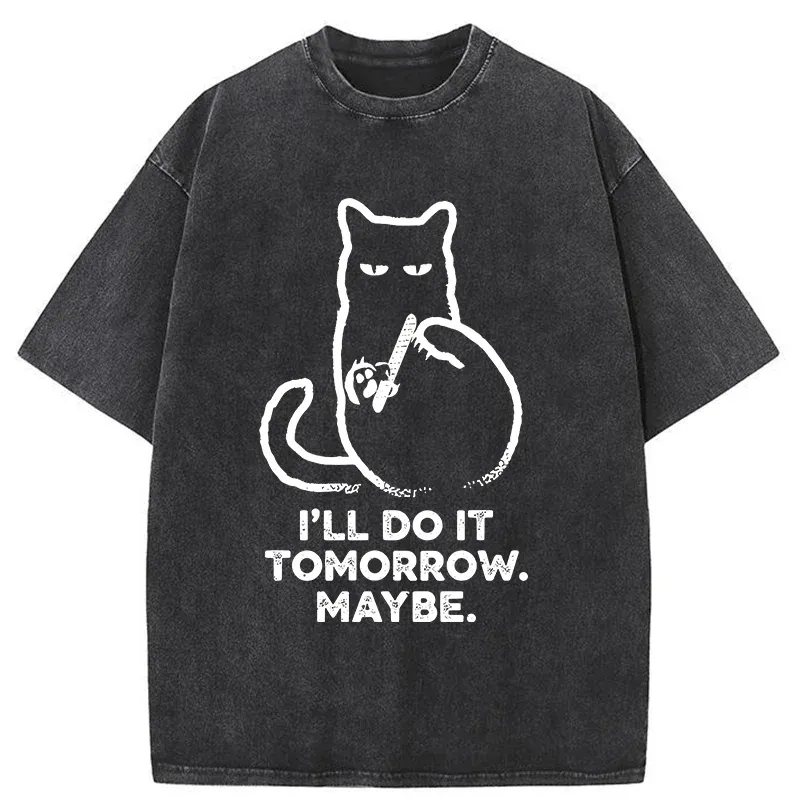 Tokyo-Tiger Do It Tomorrow Washed T-Shirt