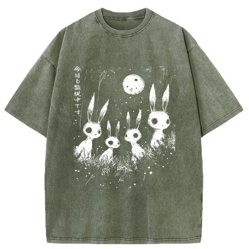 Tokyo-Tiger Rabbit Is Watching You Washed T-Shirt