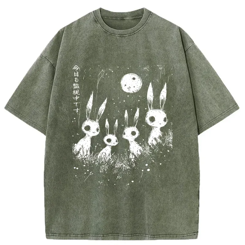 Tokyo-Tiger Rabbit Is Watching You Washed T-Shirt