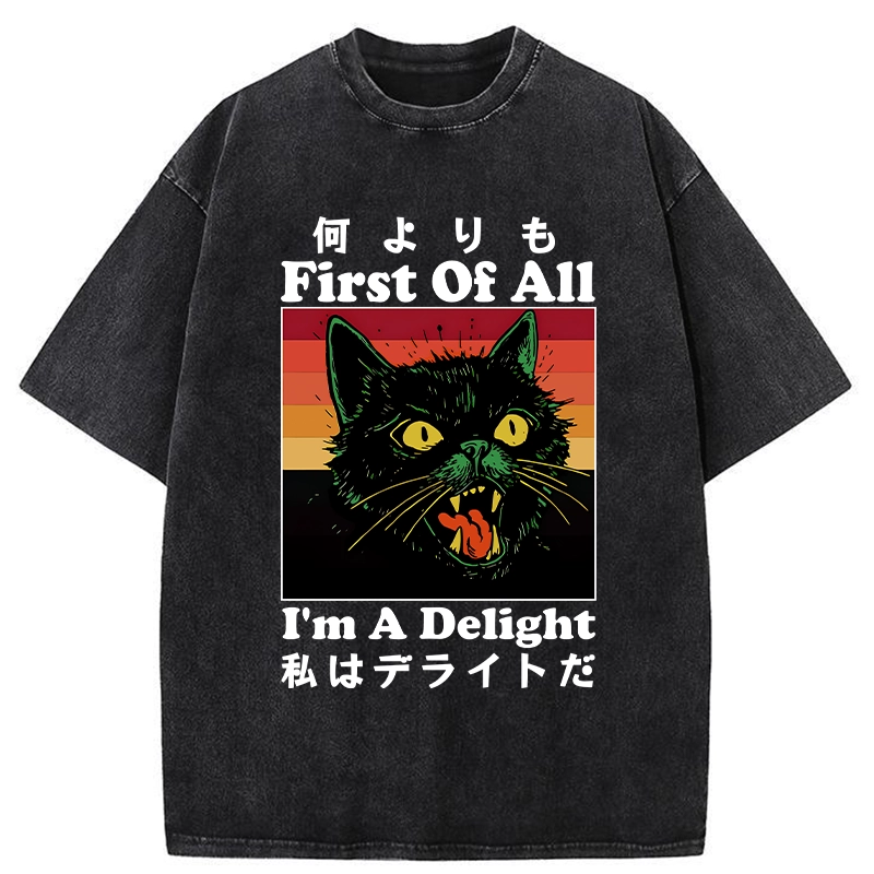 Tokyo-Tiger I'm A Delight Washed T-Shirt