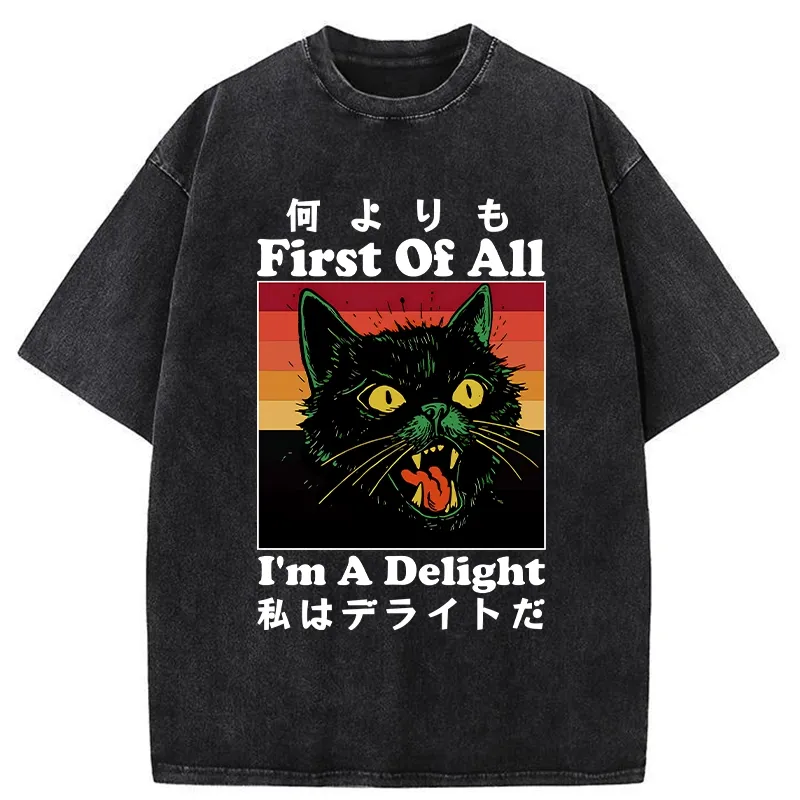 Tokyo-Tiger I'm A Delight Washed T-Shirt