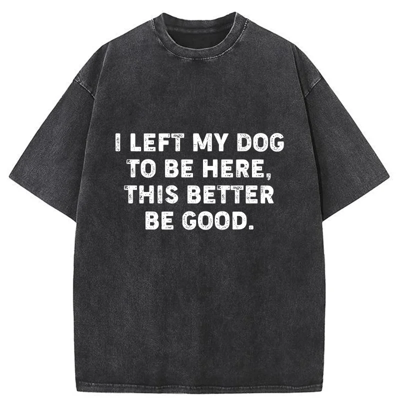 Tokyo-Tiger Funny Dog Owner Quote Washed T-Shirt