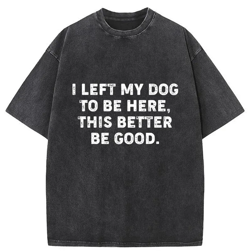 Tokyo-Tiger Funny Dog Owner Quote Washed T-Shirt