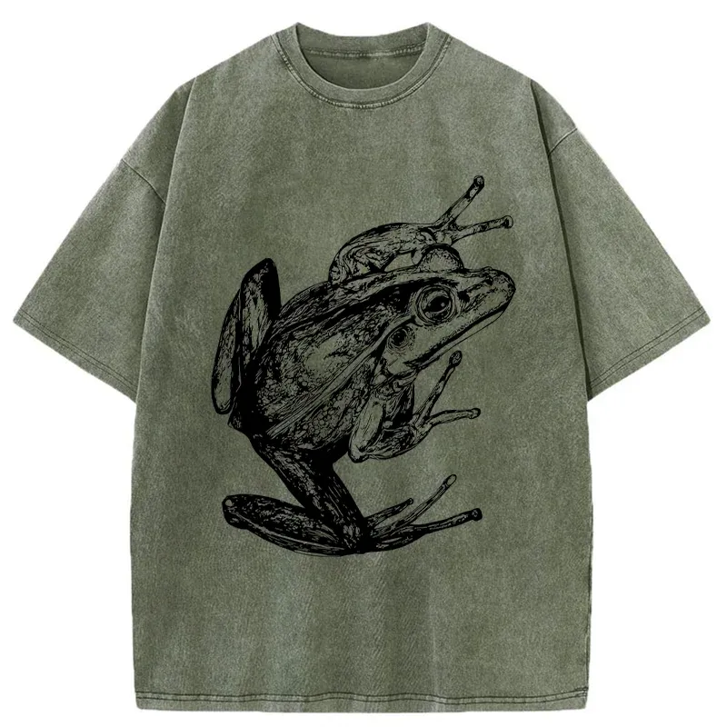 Tokyo-Tiger Retro Frog Japanese Washed T-Shirt