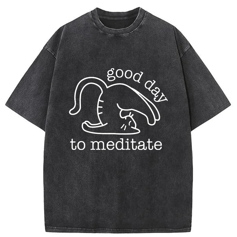 Tokyo-Tiger Cats Doing Yoga Washed T-Shirt