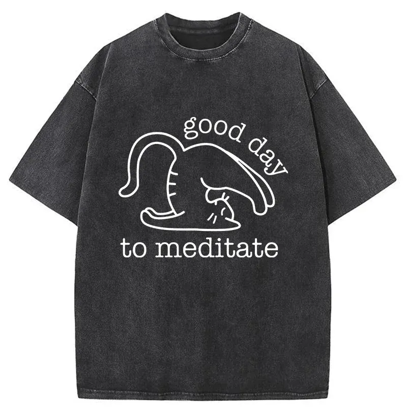Tokyo-Tiger Cats Doing Yoga Washed T-Shirt