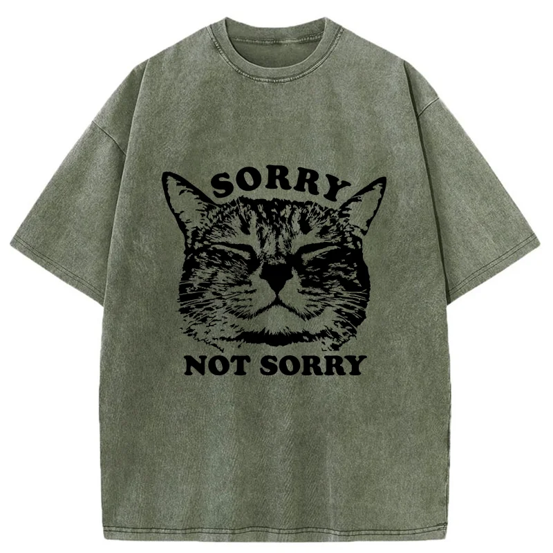 Tokyo-Tiger An Arrogant Apologizer Washed T-Shirt
