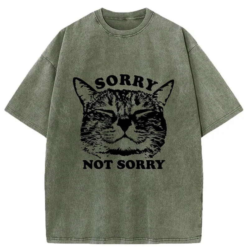 Tokyo-Tiger An Arrogant Apologizer Washed T-Shirt