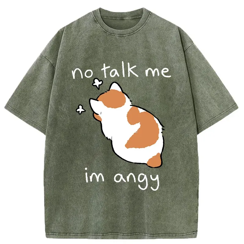 Tokyo-Tiger Cat Refused To Communicate Washed T-Shirt