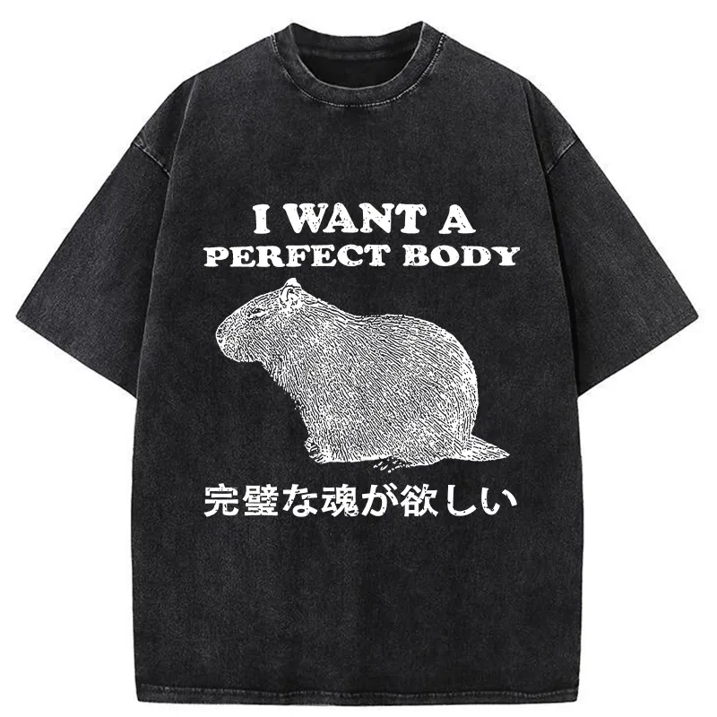 Tokyo-Tiger I Want A Perfect Body Washed T-Shirt