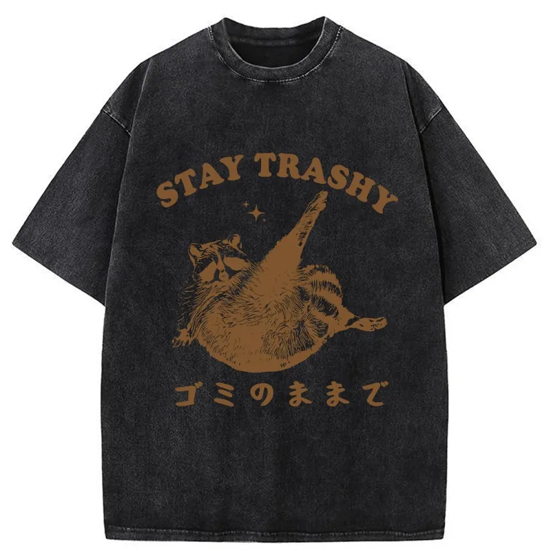 Tokyo-Tiger Raccoon Stay Trashy Washed T-Shirt