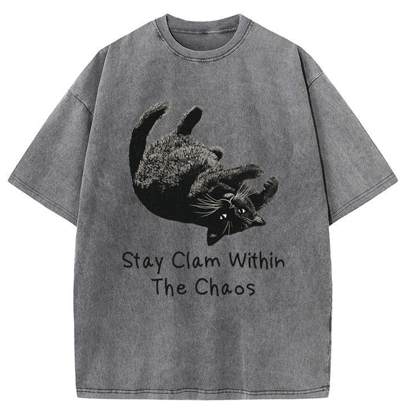 Tokyo-Tiger Stay Clam Within The Chaos Washed T-Shirt