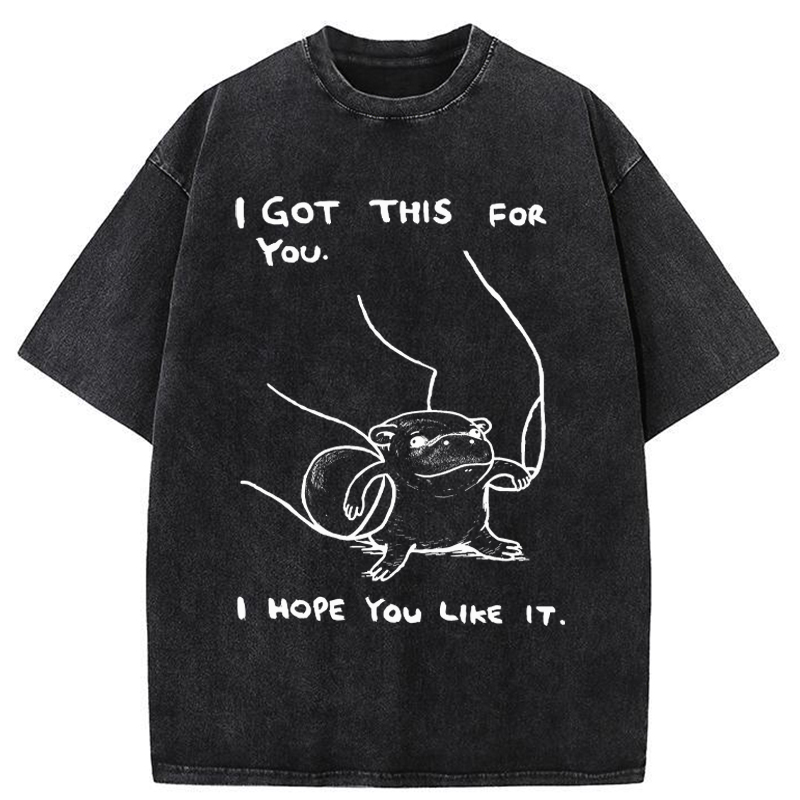 Tokyo-Tiger I Got This For You Washed T-Shirt