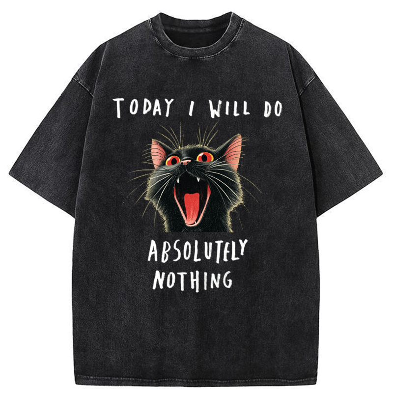 Tokyo-Tiger Today I Will Do Absolutely Nothing Washed T-Shirt