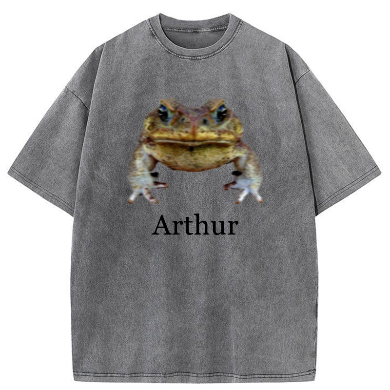 Tokyo-Tiger This Is Arthur Washed T-Shirt