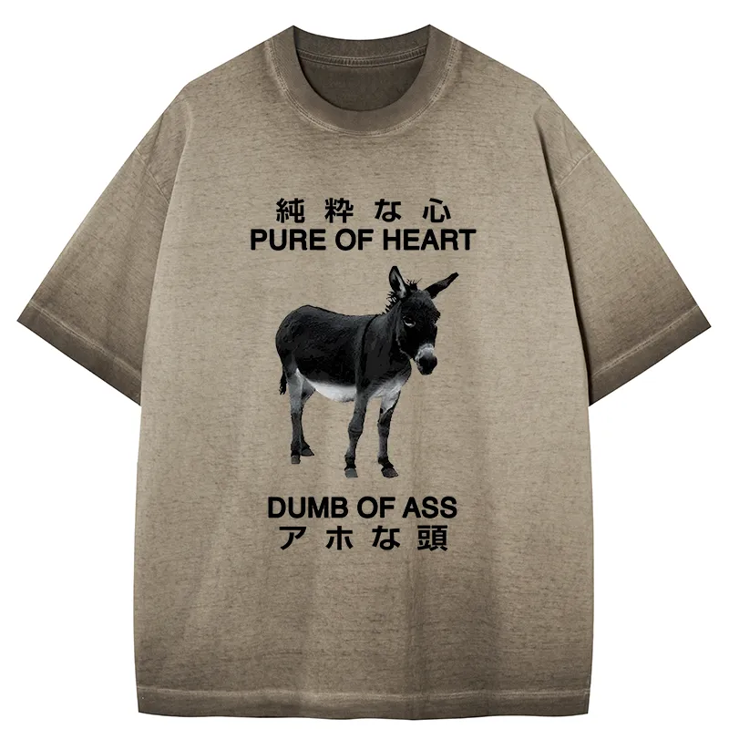 Tokyo-Tiger Pure Of Heart Dumb Of Ass Gradient Washed T-Shirt