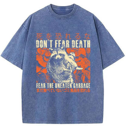 Tokyo-Tiger Timid Raccoon Japanese Washed T-Shirt