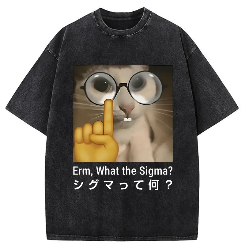 Tokyo-Tiger Erm What The Sigma Washed T-Shirt