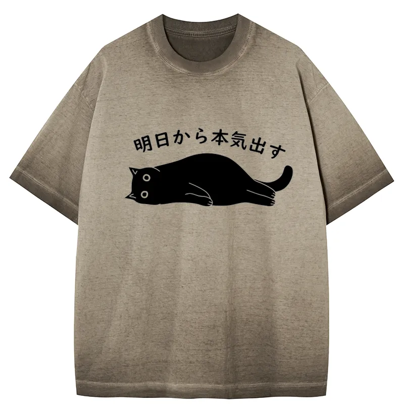 Tokyo-Tiger I'm Going To Get Serious Tomorrow Gradient Washed T-Shirt