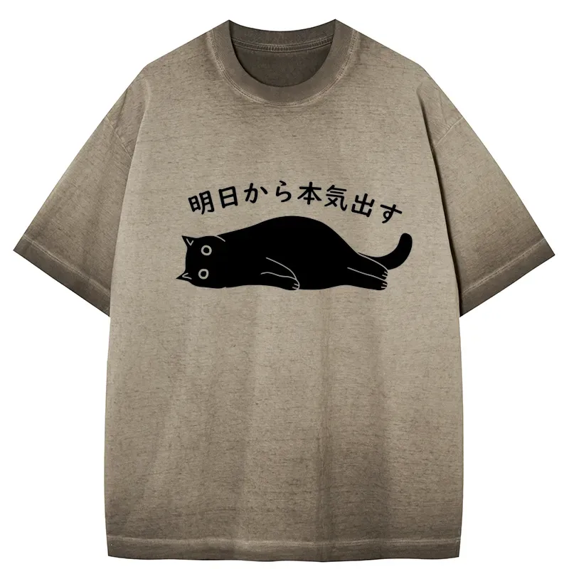 Tokyo-Tiger I'm Going To Get Serious Tomorrow Gradient Washed T-Shirt