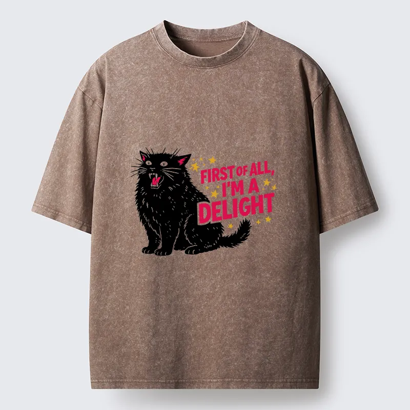 Tokyo-Tiger With A Lake In Your Heart, Every Place Is A Beautiful Landscape Washed T-Shirt