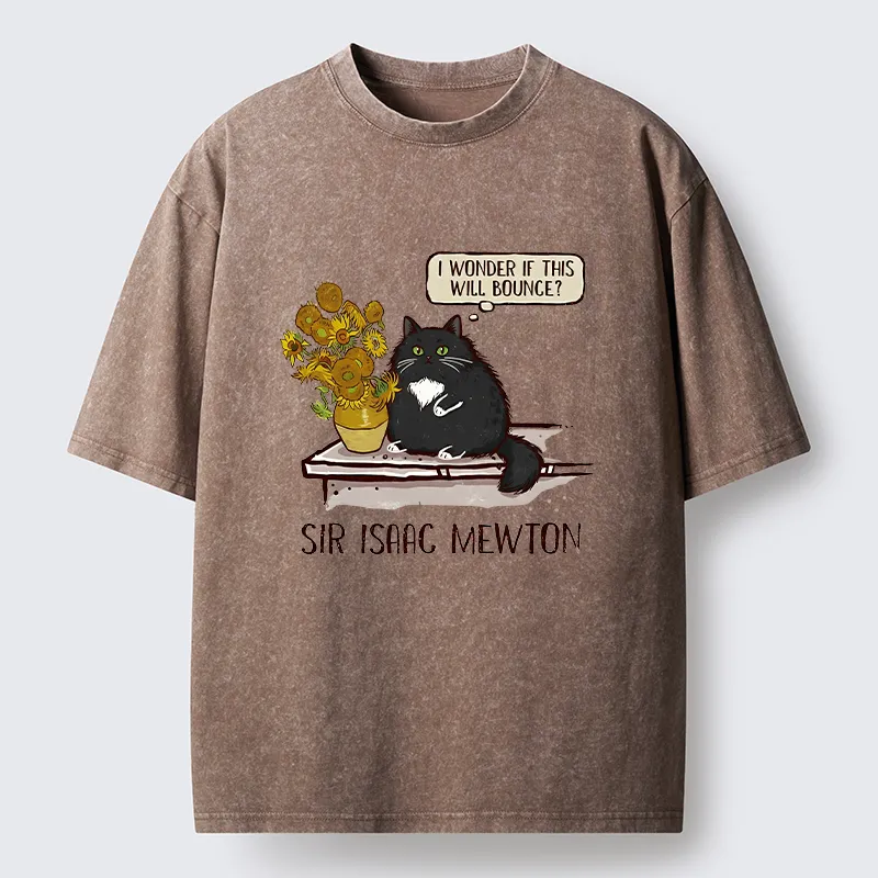 Tokyo-Tiger Cat Wants To Do A Physics Experiment Washed T-Shirt