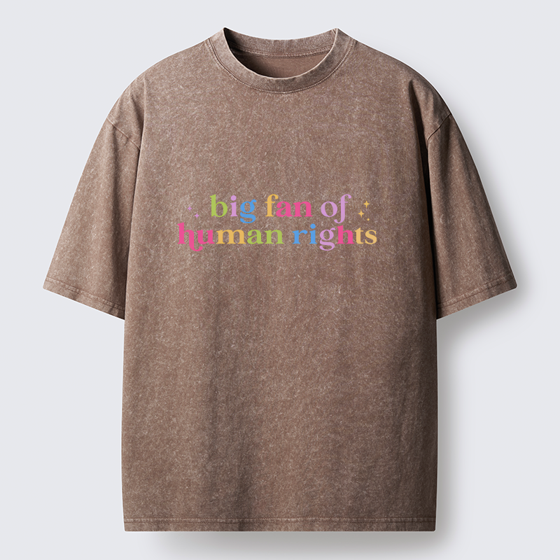 Tokyo-Tiger Human Right Washed T-Shirt