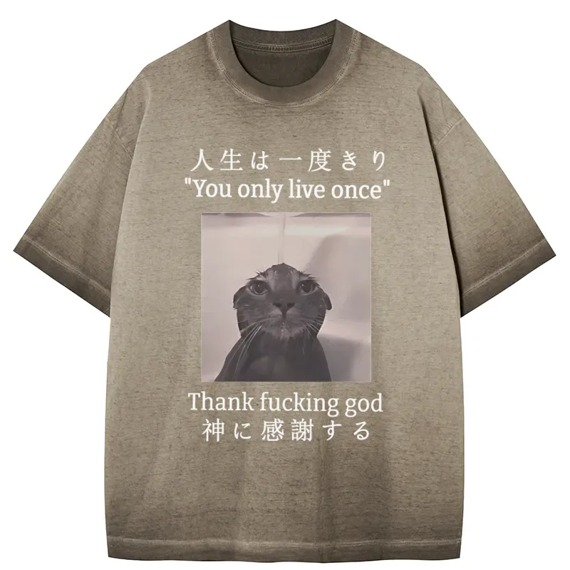Tokyo-Tiger Funny Melancholy Cat Gradient Washed T-Shirt