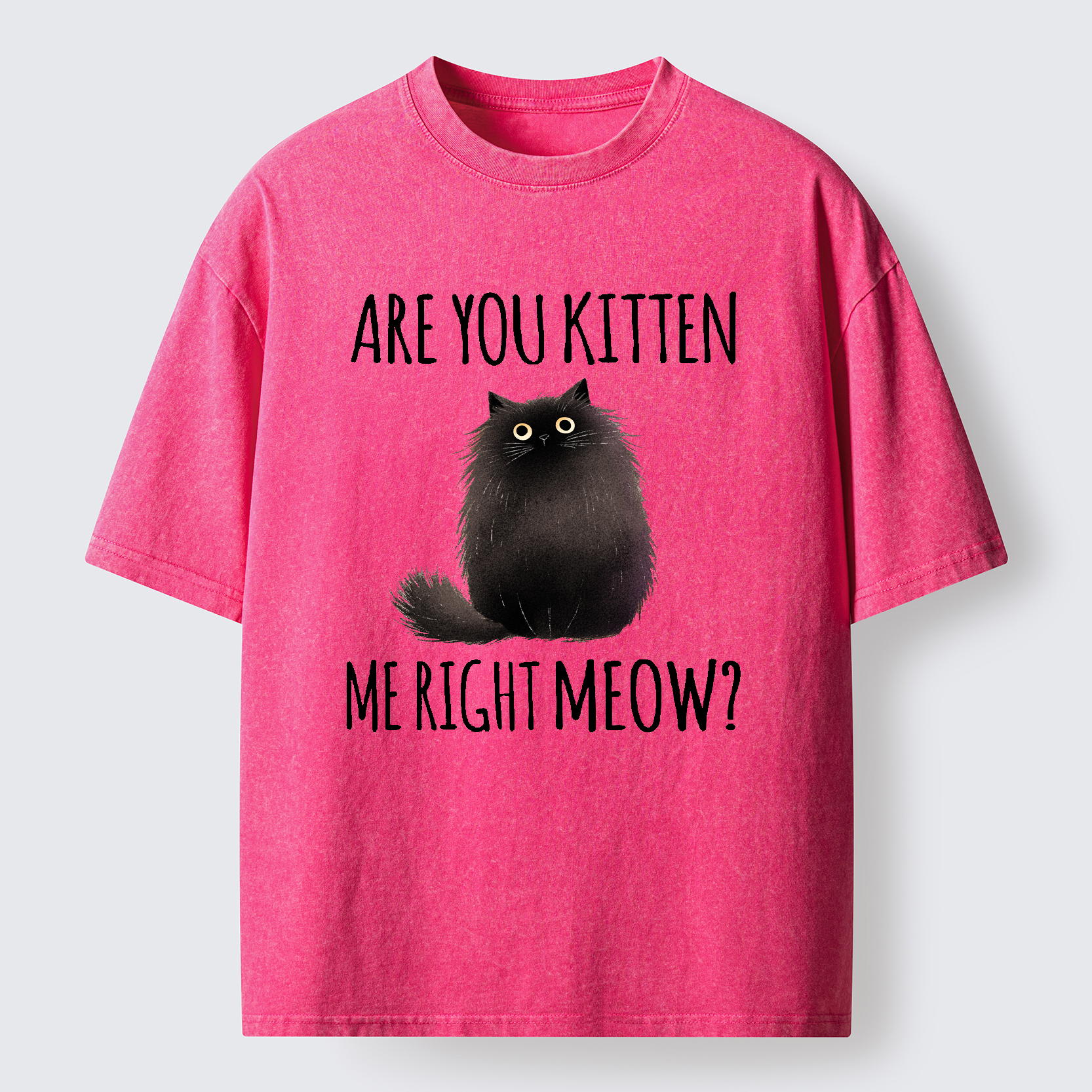 Tokyo-Tiger Kitten Me Right Meow Washed T-Shirt