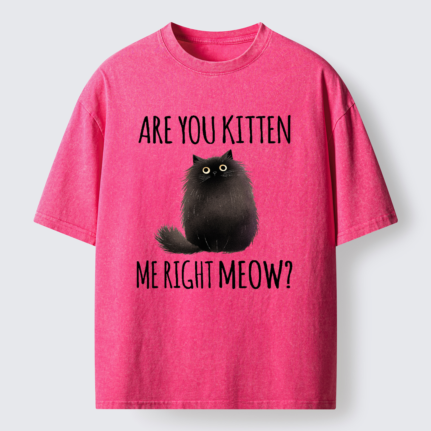 Tokyo-Tiger Kitten Me Right Meow Washed T-Shirt