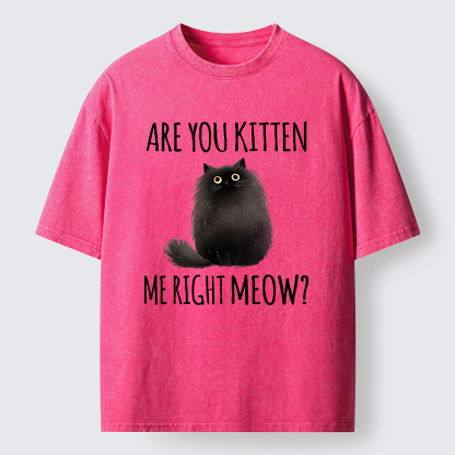 Tokyo-Tiger Kitten Me Right Meow Washed T-Shirt