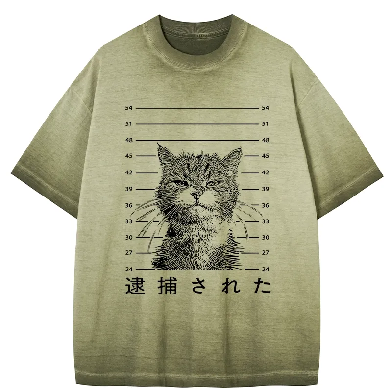 Tokyo-Tiger Cat That Was Arrested Gradient Washed T-Shirt