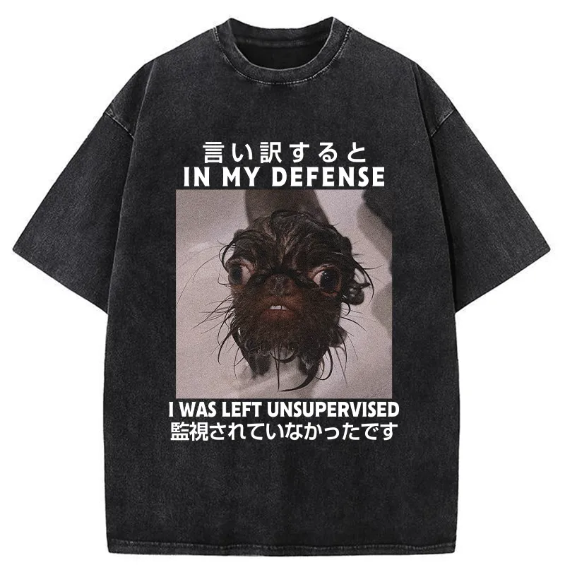 Tokyo-Tiger I Was Left Unsupervised Washed T-Shirt