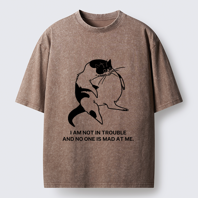 Tokyo-Tiger Introverted Kitten Japan Washed T-Shirt