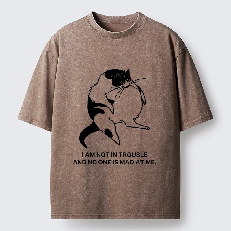 Tokyo-Tiger Introverted Kitten Japan Washed T-Shirt