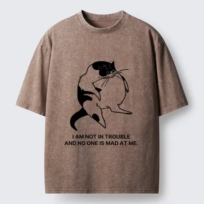 Tokyo-Tiger Introverted Kitten Japan Washed T-Shirt