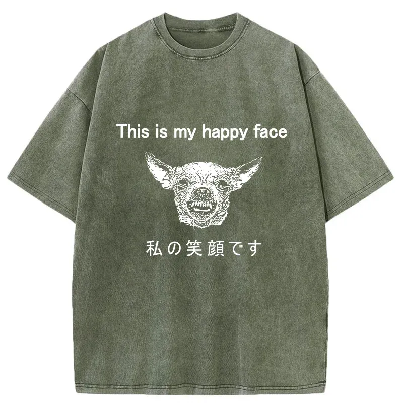 Tokyo-Tiger Rockbell Automail Japanese Washed T-Shirt Sale